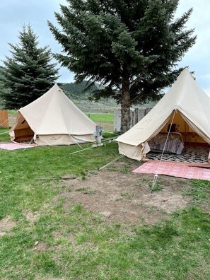 Two beige tents set up in a grassy area with a tree nearby. - Boho Bell Tent Glamping in Swan Valley, Idaho near Jackson Hole (Irwin)
