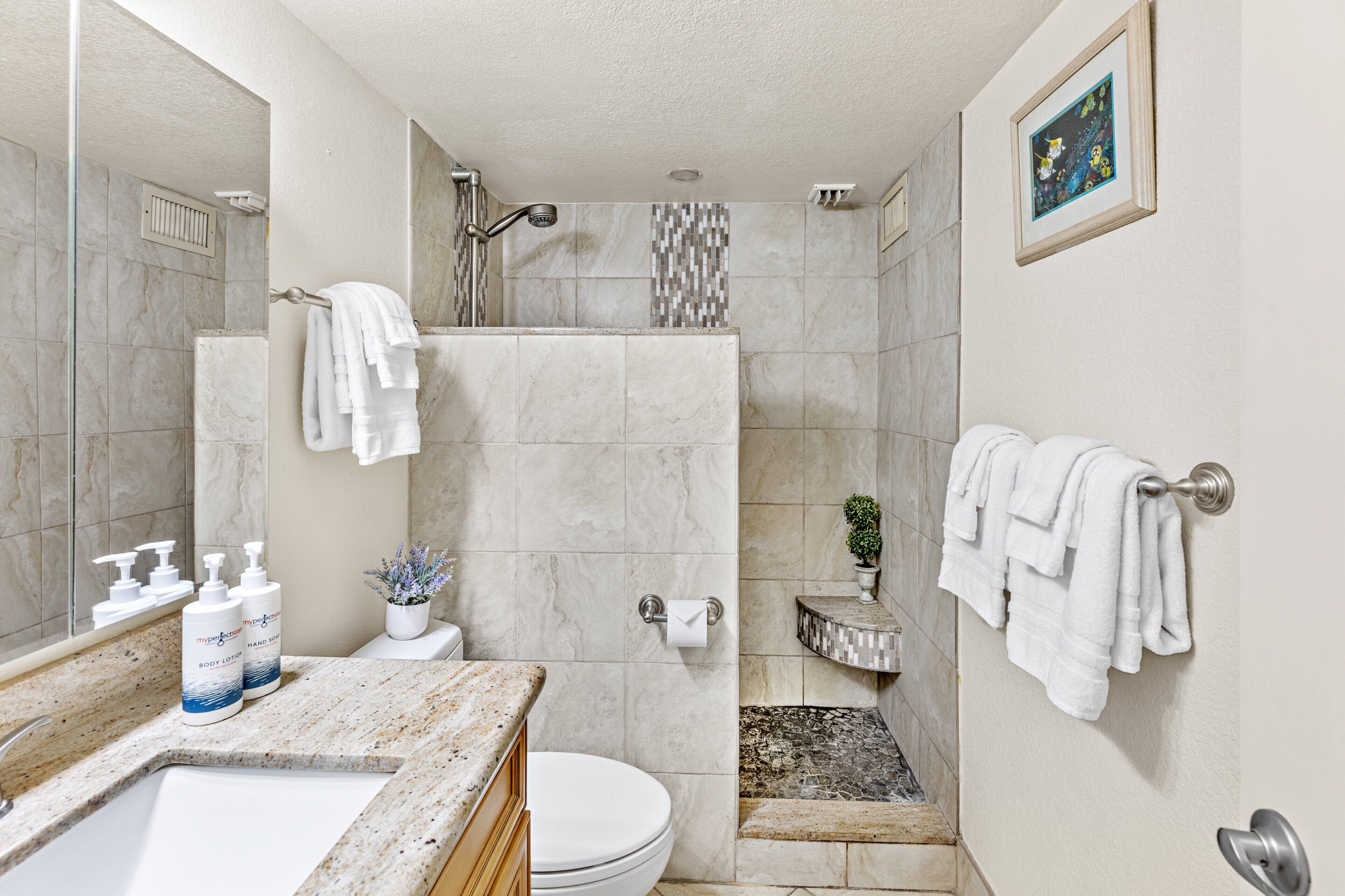 Shower, hair dryer, towels