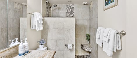 Shower, hair dryer, towels