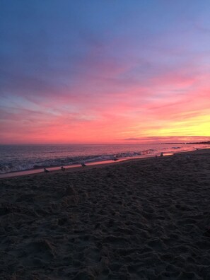 A beach with waves, a sunset, and birds.