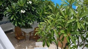 Un patio con mesa y sillas, rodeado de plantas en macetas y vista al océano.