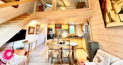 Charming apartment facing Mont Blanc