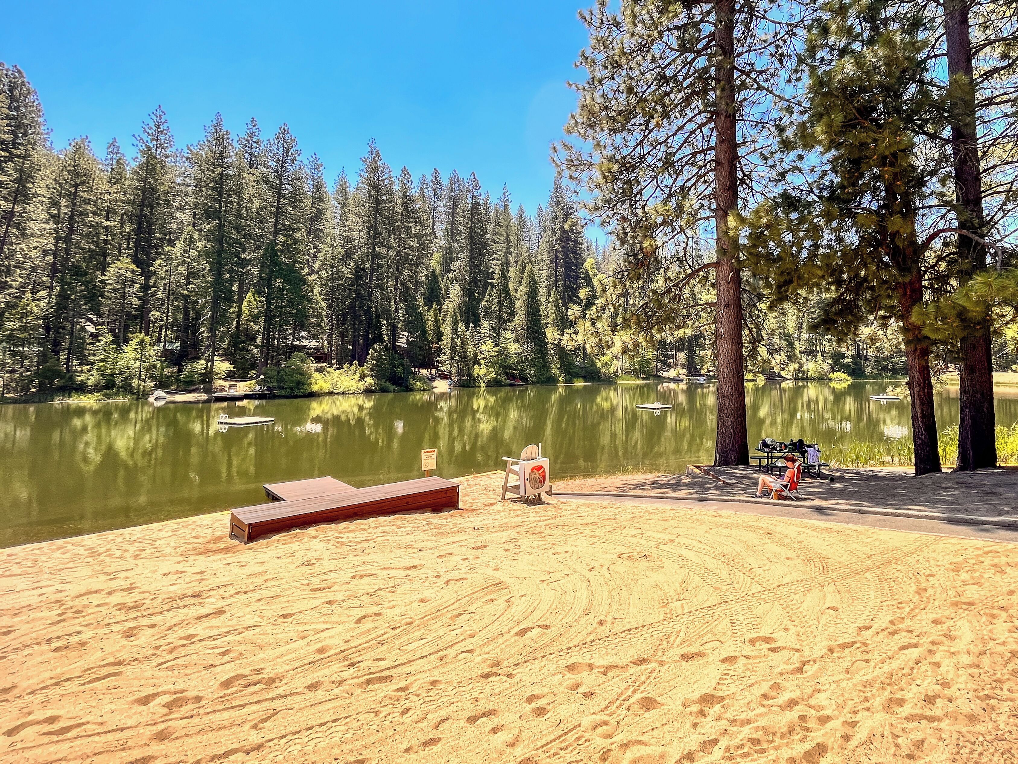 A sandy beach area with a wooden bench and a picnic table, surrounded by tall trees and a calm lake.