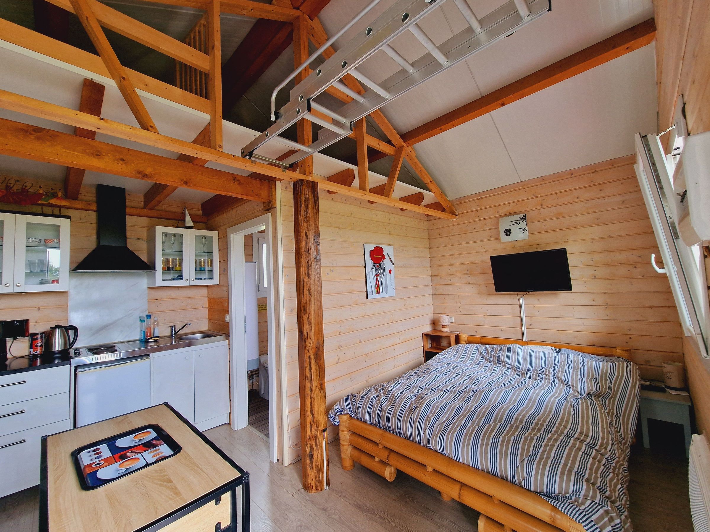A cozy cabin interior with a kitchen, a bed, and a TV.