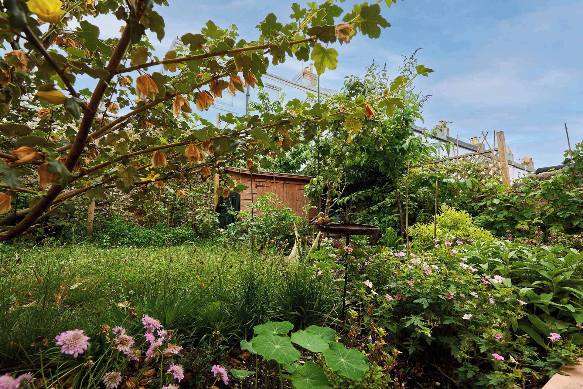 A garden with various plants and a small brick building.