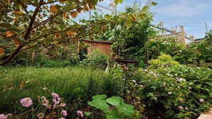 Un jardín con diversas plantas y un pequeño edificio de ladrillo.