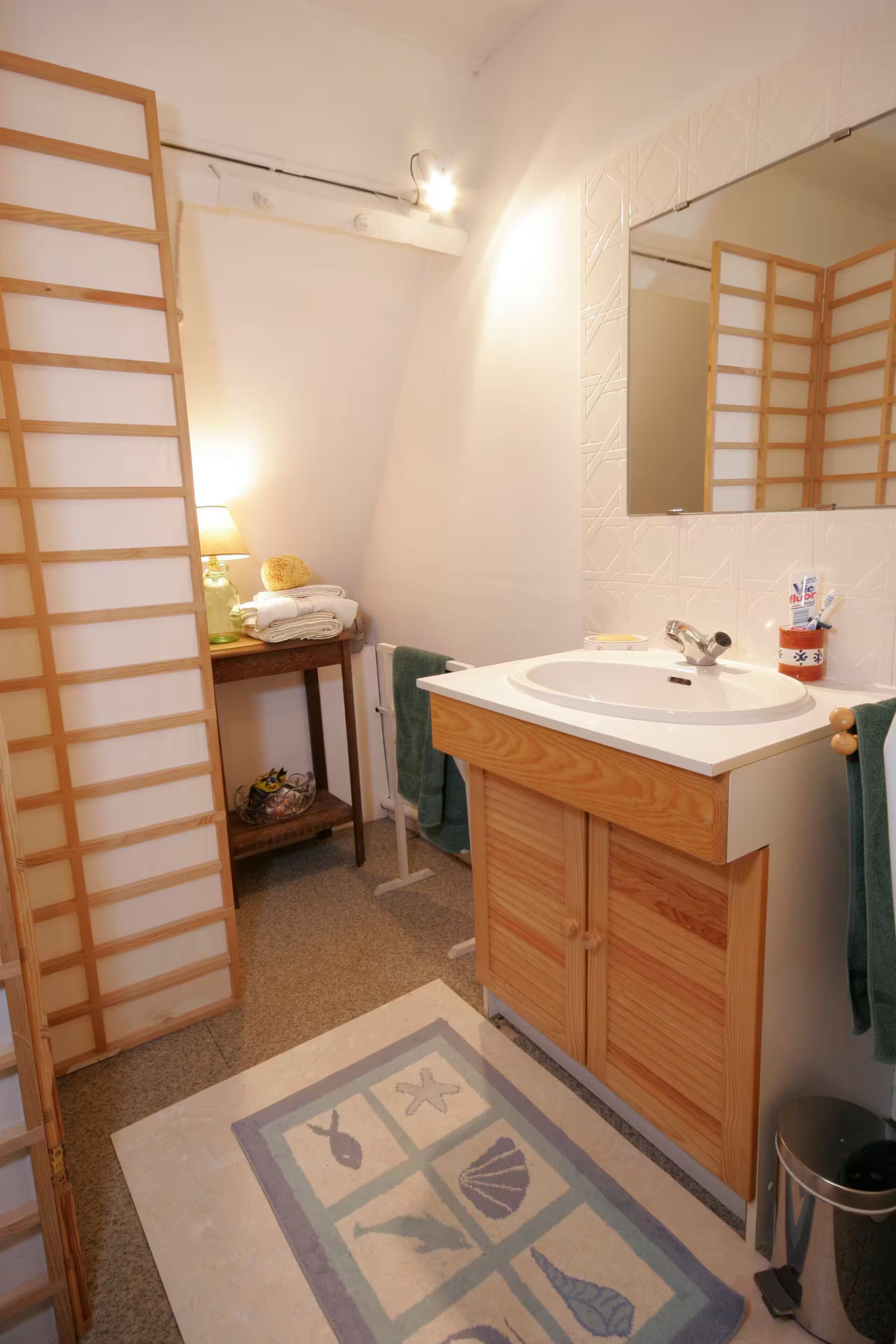 Douche, serviettes fournies, papier toilette