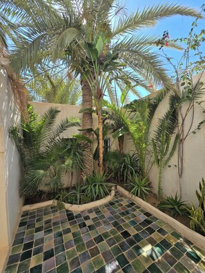 Une terrasse carrelée, entourée de différentes plantes et d’un palmier.