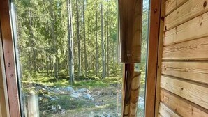 A wooden cabin interior with a large window, a wood-burning stove, and a view of a forest.