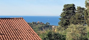 Une vue sur la côte, avec un toit recouvert de tuiles, de la végétation et des bâtiments situés au loin.