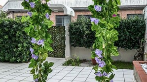 Una hamaca de madera con cuerda, rodeada por un patio con baldosas.