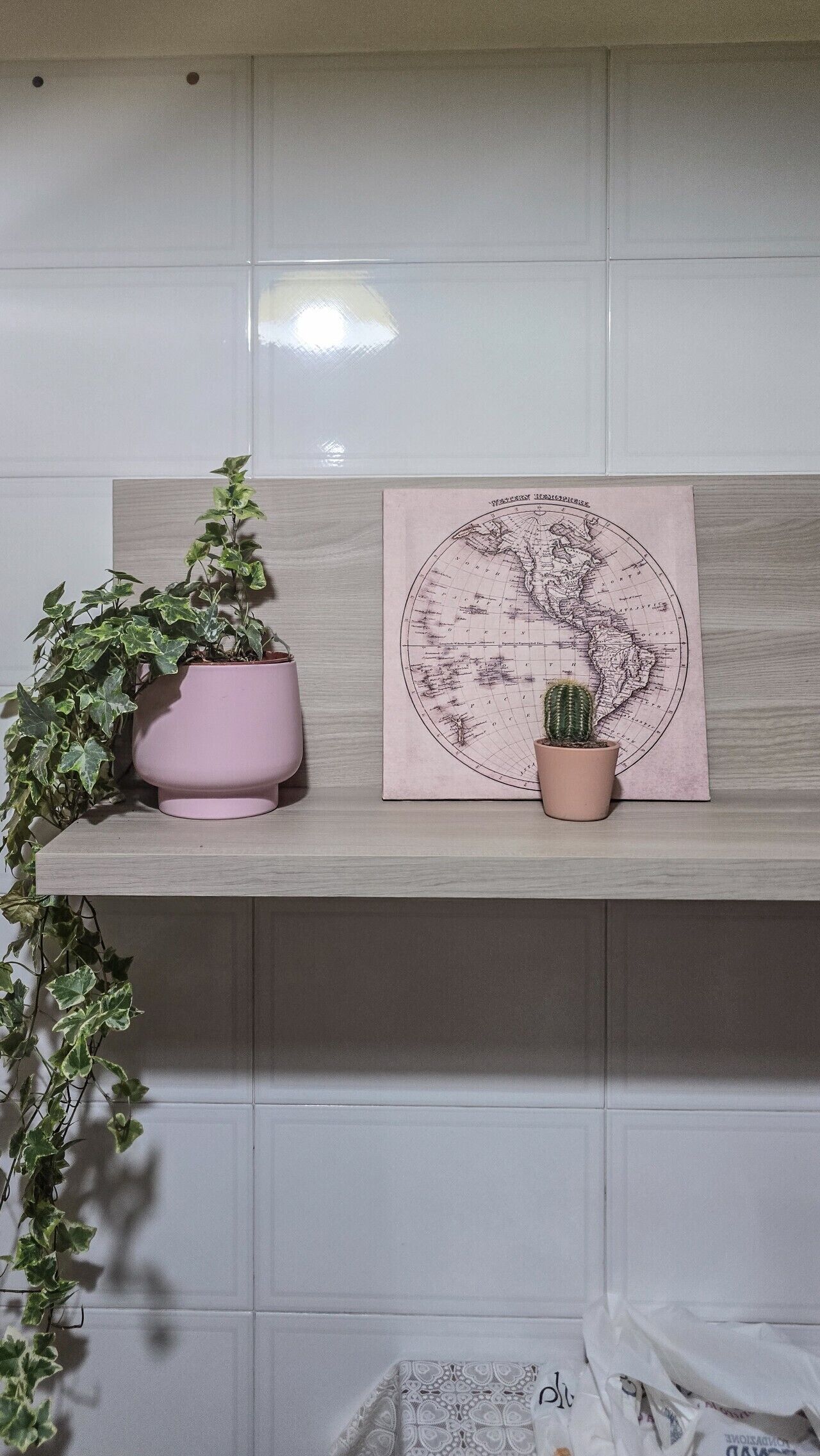 Une étagère avec une carte, un pot rose et un petit cactus.