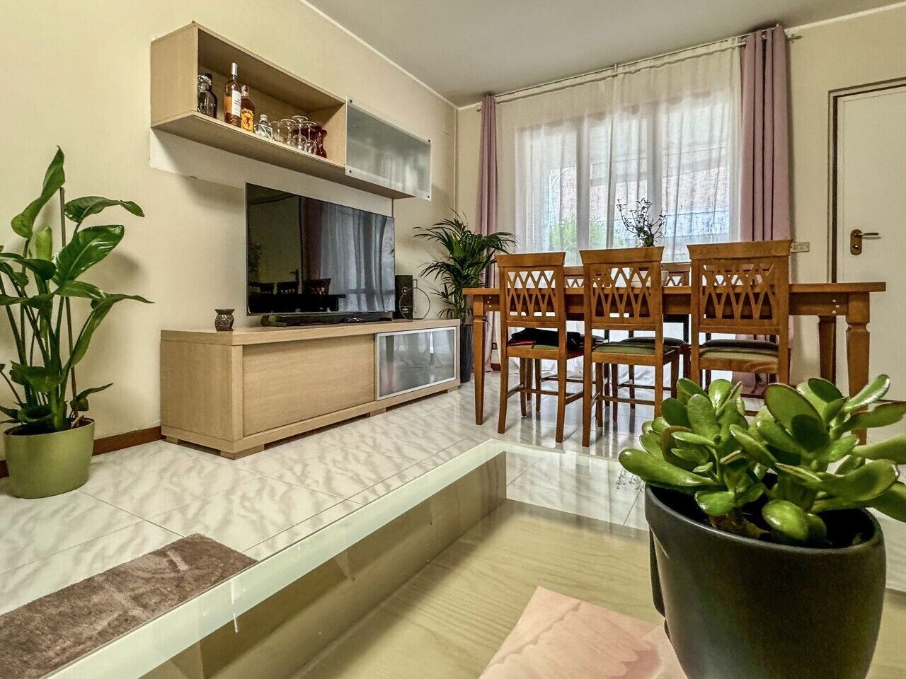 A living room with a TV, wooden chairs, a dining table, and potted plants.