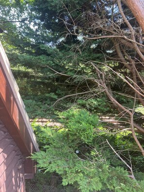 A wooden structure with a metal roof, surrounded by dense green foliage and trees. - Treetop Private  studio (tiny house) (Farnborough)