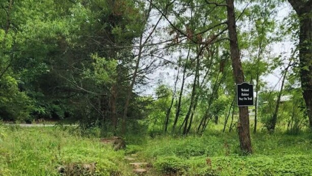 A forested area with a wooden bench and a signpost.