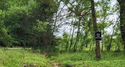 Picteresque 1-bedroom Glamp cabin on Bear Hollow Reserve. Hike. Feed fish. Camp
