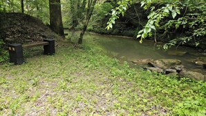 A natural setting with a bench, a small stream, and dense greenery.