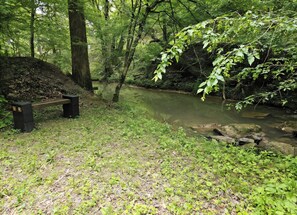 A natural setting with a bench, a small stream, and dense greenery.