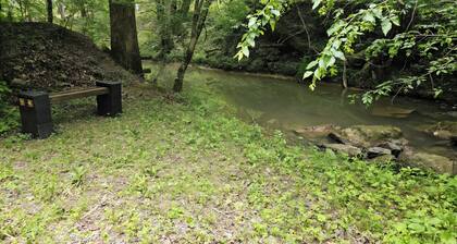 Picteresque 1-bedroom Glamp cabin on Bear Hollow Reserve. Hike. Feed fish. Camp