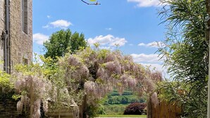 A gravel driveway leading to a wooden gate, surrounded by a stone building and a wisteria archway. - Laundry Cottage: a little piece of heaven in North Cornwall! (Bodmin)