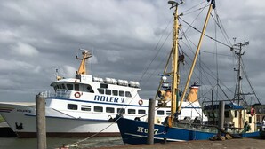 En hamn med ett stort, vitt och blått fartyg som heter ”HULFRY”, förtöjt vid en kaj.