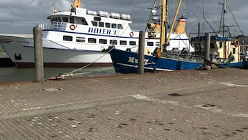 Een haven met een groot wit en blauw schip, genaamd 'HULFRY', afgemeerd aan een steiger.
