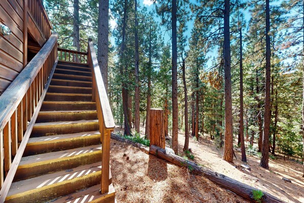 A wooden staircase leading to a cabin in a forested area.