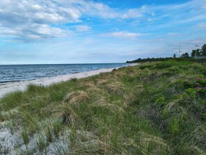 Een strand met zand, gras en een heldere lucht.