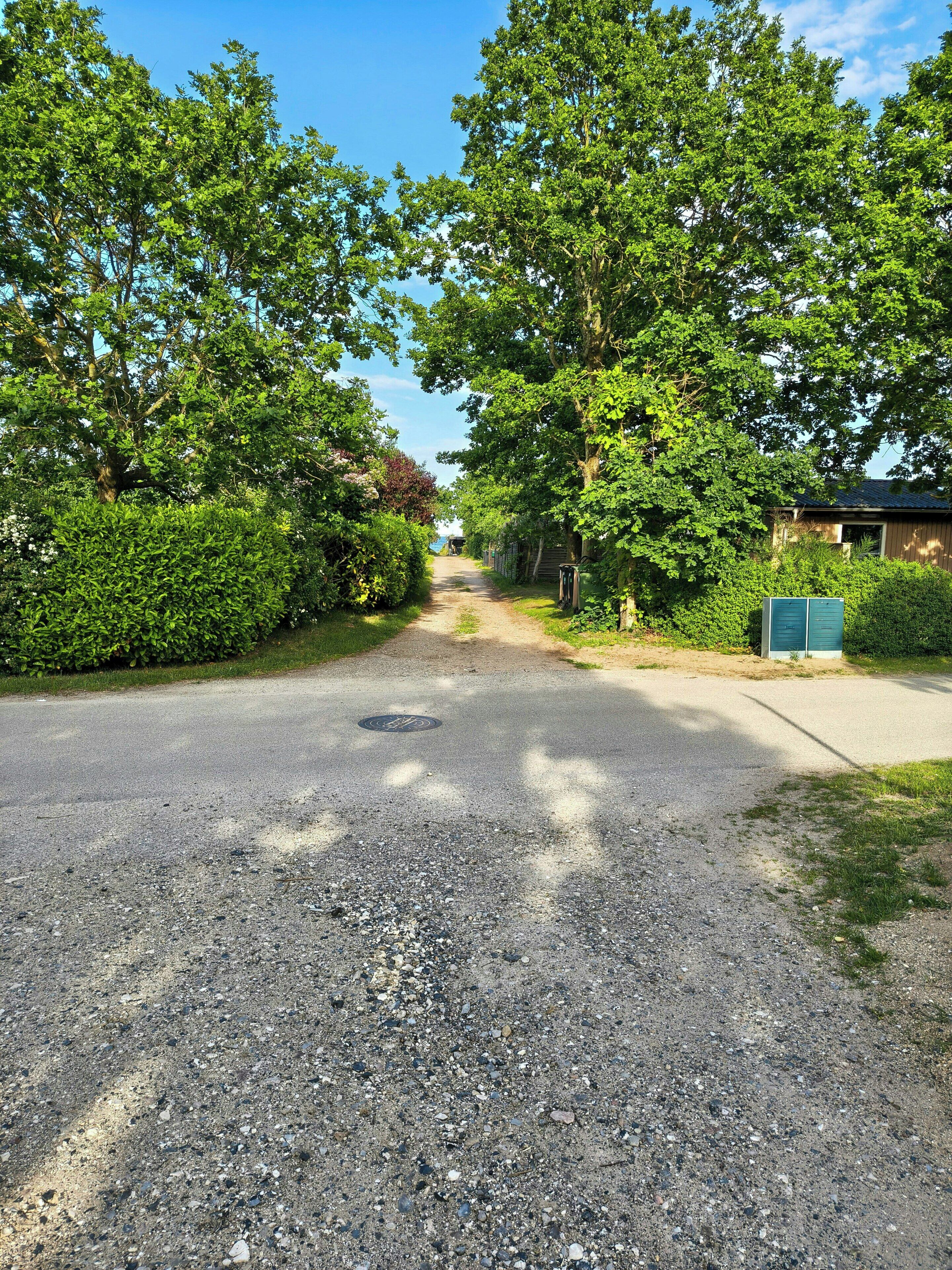 A gravel road flanked by dense green foliage and a building with a blue door.