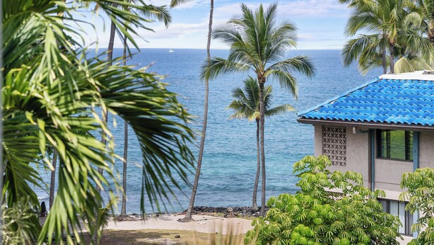 Une propriété située en bord de mer, agrémentée de palmiers, offrant une vue dégagée sur l’océan et comprenant un bâtiment avec un toit bleu.