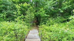 Un paseo marítimo de madera que atraviesa un bosque frondoso.