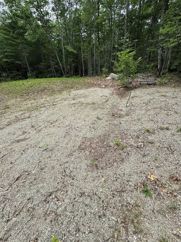 A forested area with a gravel path and dense trees.