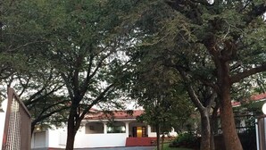 A pathway leading to a building with a red and black checkered pavement, surrounded by trees and a gated entrance. - The White House  (Victoria Falls)