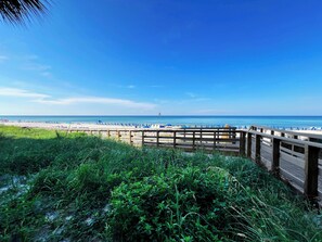 Ein Strand mit einer Holzpromenade, die zum Ufer führt, umgeben von viel Grün.