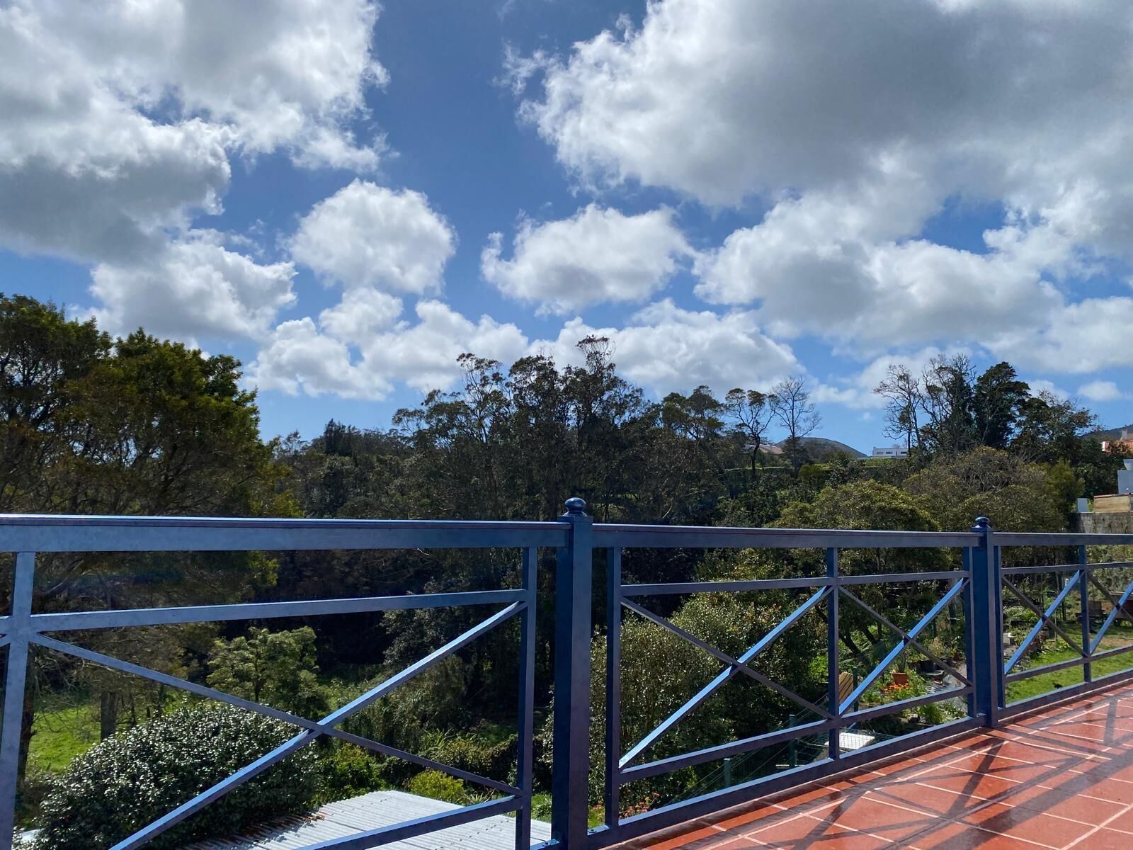 A metal bridge with a tiled walkway, surrounded by greenery and trees under a partly cloudy sky.