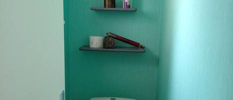 Shower, hair dryer, towels, toilet paper