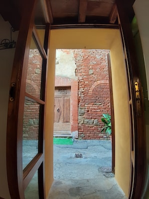 Una entrada a un edificio con pared de ladrillo, puerta de madera y una pequeña planta verde.