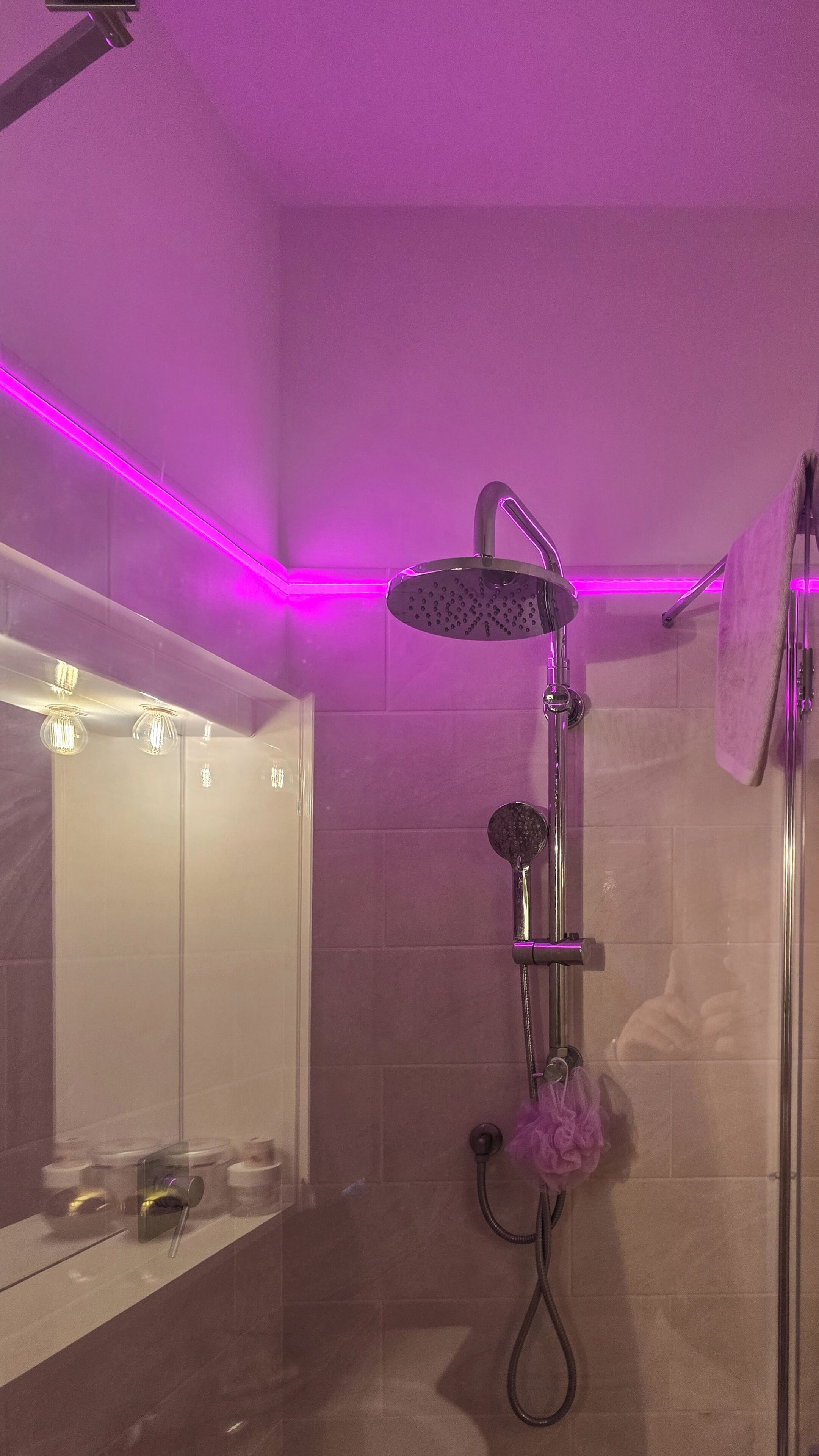 A bathroom with a glass-enclosed shower, a mirror, and a towel rack.