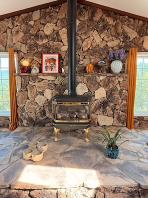 A stone fireplace with a black chimney, surrounded by shelves with decorative items and a potted plant.