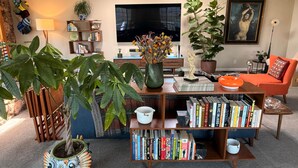 A living room with a bookshelf, a television, a sofa, and various plants. - Hudson Queen Room at Mountain Daddies B&B (Oakhurst)