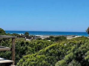 Uitzicht op de kust met een houten terras en weelderige begroeiing.