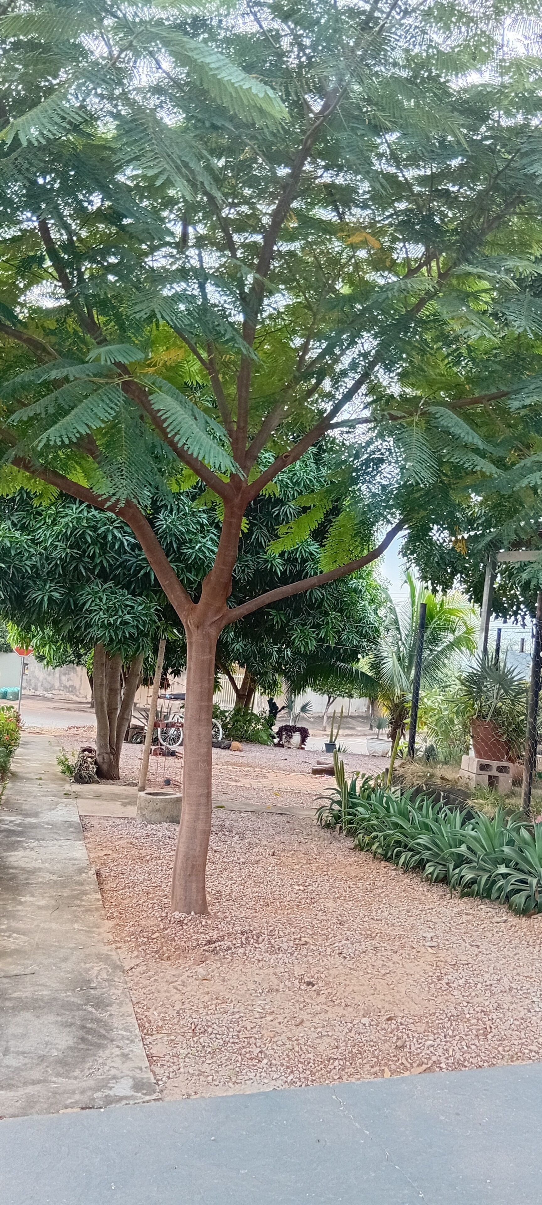 Dúplex económico | Jardines del alojamiento