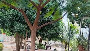 Dúplex económico | Jardines del alojamiento