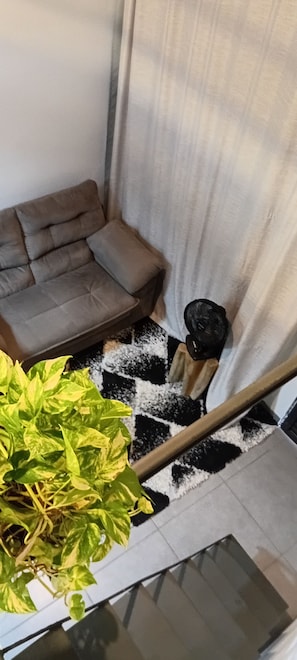 Ein Blick in einen Raum mit einer Couch, einer Topfpflanze, einem schwarz-weißen Schachbrettteppich und einem Holzstuhl.