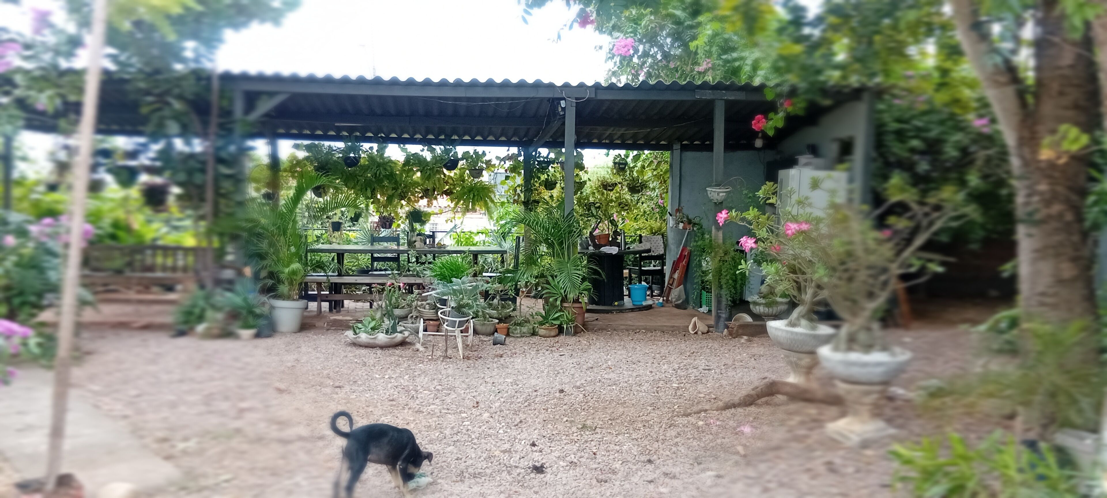 Economy Duplex | Outdoor dining