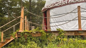 A yurt with a rope ladder, surrounded by dense forest.