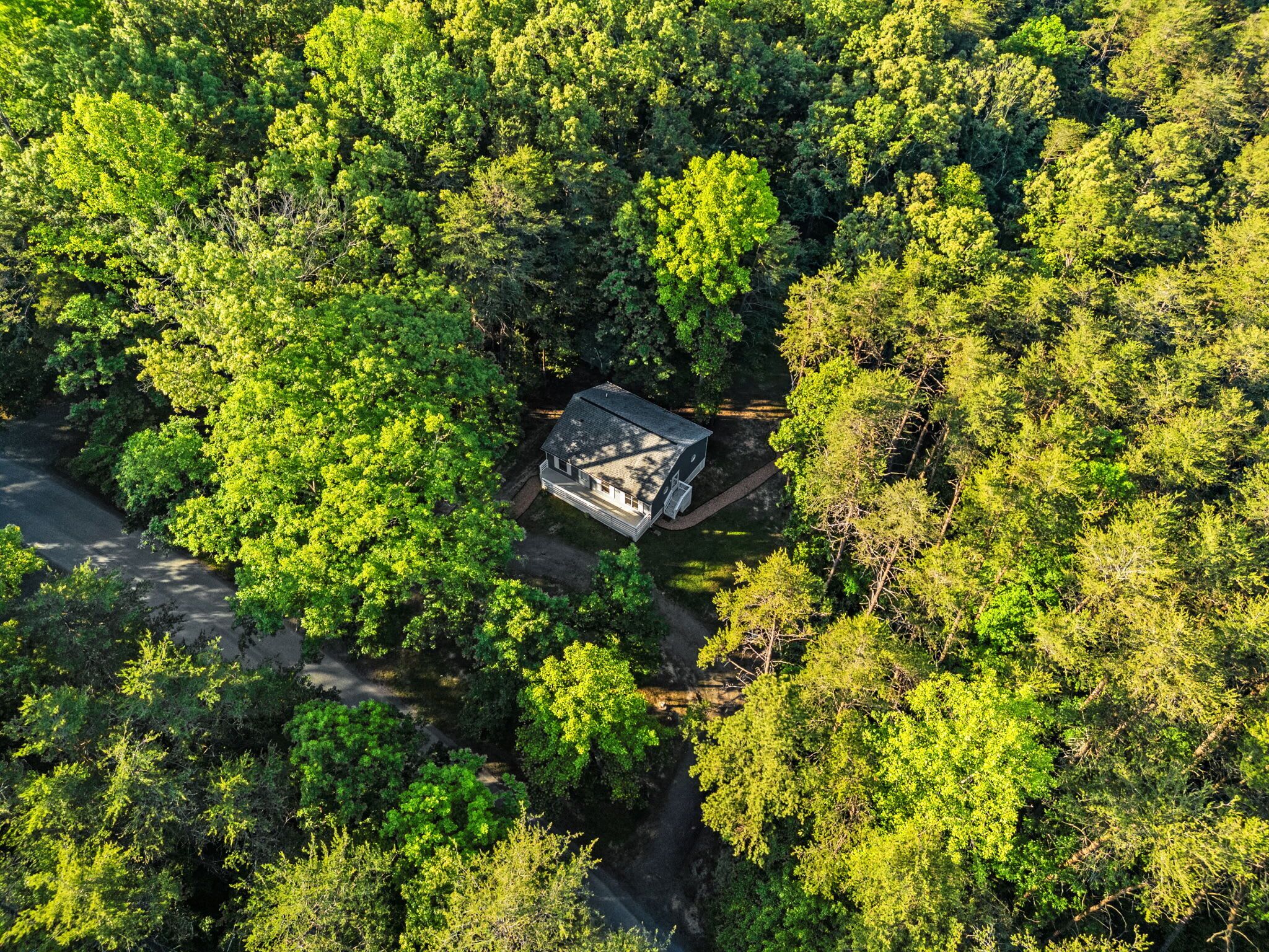 Vista aérea de una zona boscosa con un edificio rodeado de árboles verdes y frondosos.