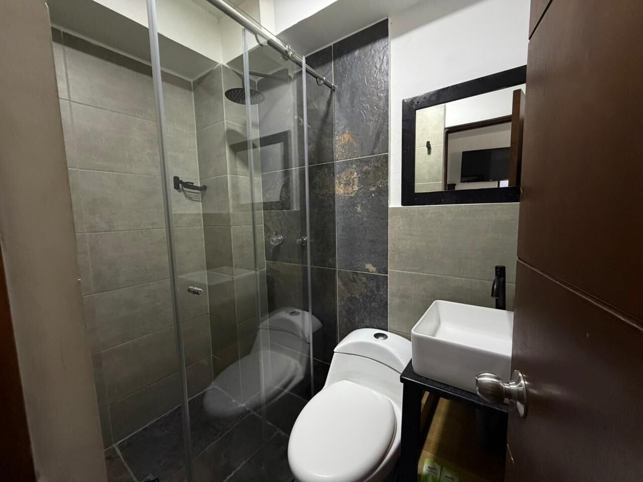 A bathroom with a glass-enclosed shower, a toilet, and a sink with a mirror above it.