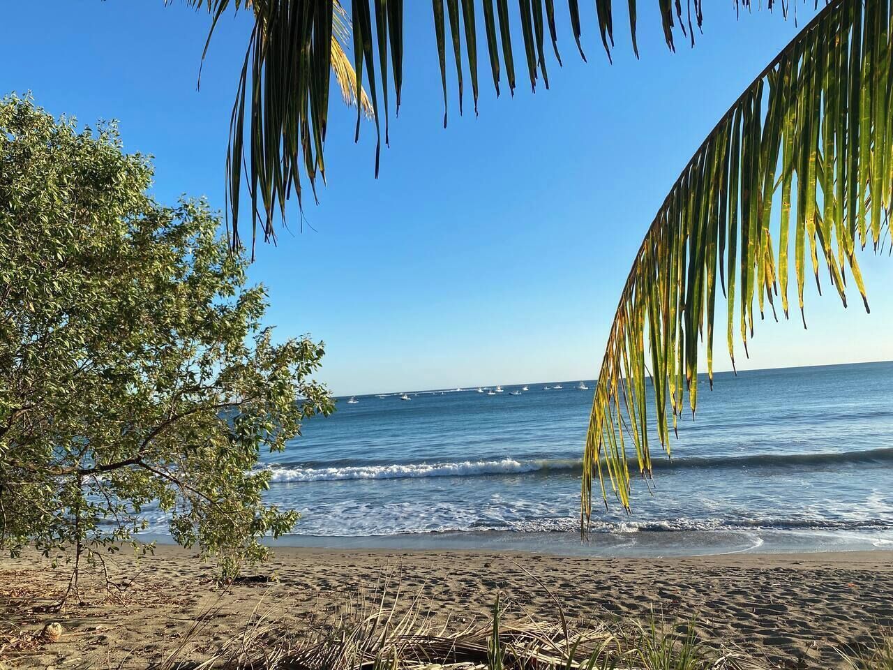 Praia
