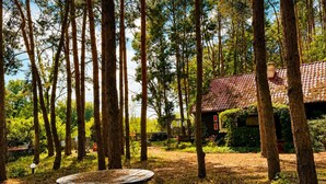 Una cabaña rústica rodeada de altos árboles, un hogar de piedra y una terraza de madera.